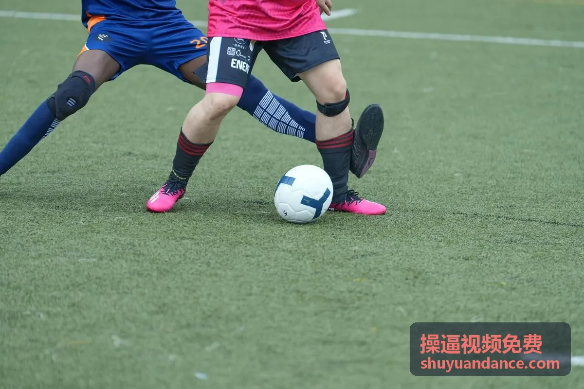 午夜激情高清无码付费精选合集