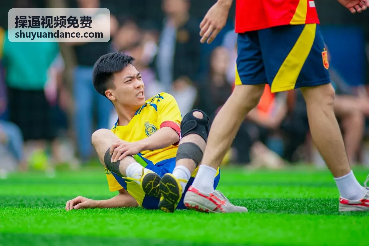 欧美性爱视频大全