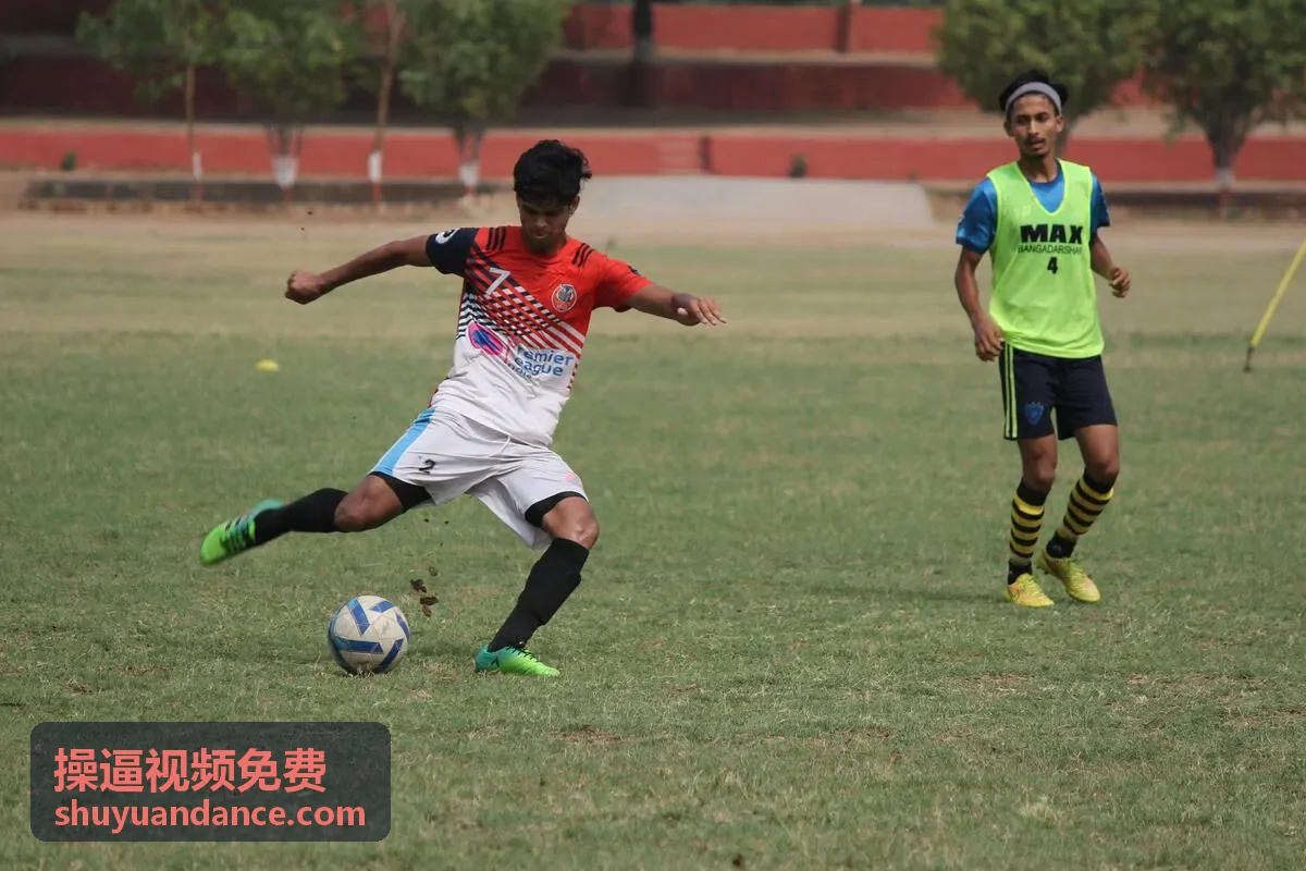 高清热门欧美福利视频