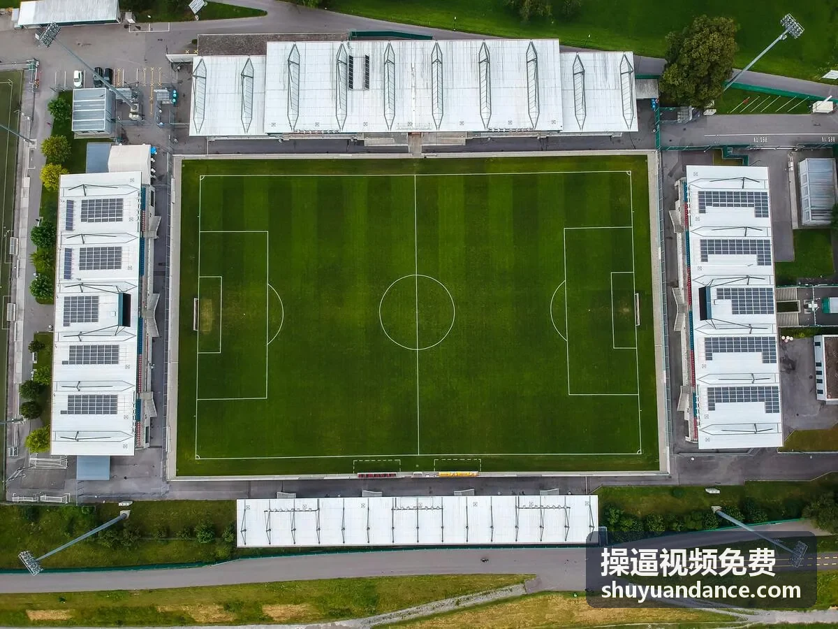 欧美激情影院高清视频在线观看